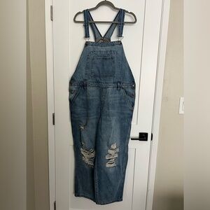 wild fable medium wash distressed overalls